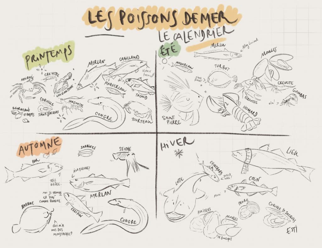 Queue de lotte : 5 idées de recettes faciles et rapides