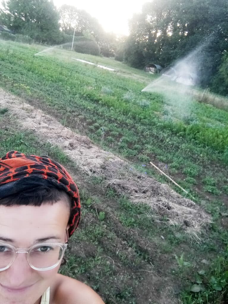 Les jardins du Ménic : Productrice de plants potagers et aromatiques à Dinéault (29)