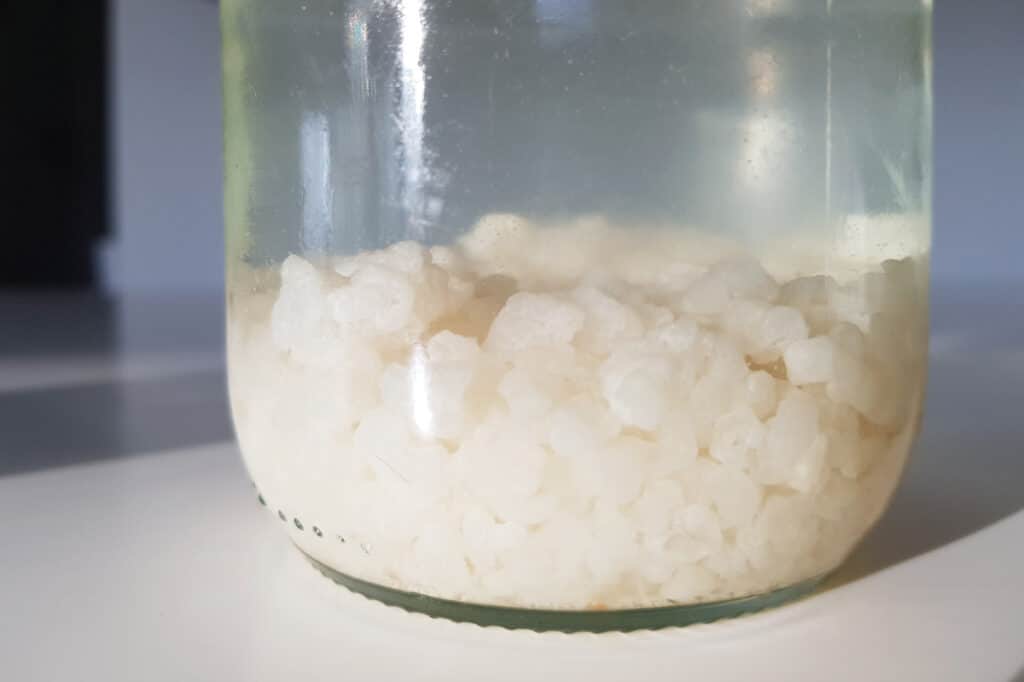 Kéfir de fruits : origine, bienfaits et recette facile Kéfir de fruits : origine, bienfaits et recette facile
