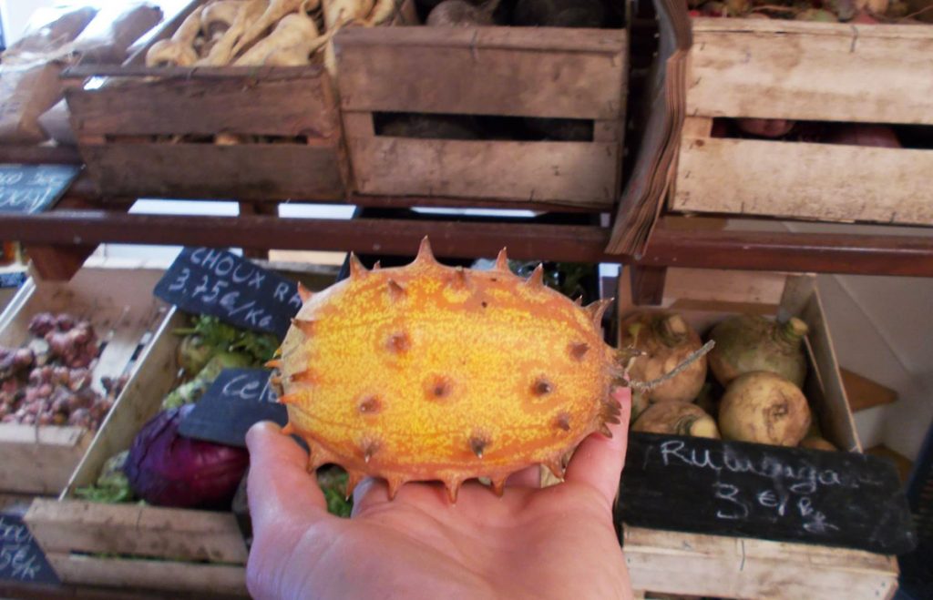 Le kiwano : quel goût ? quels sont ses bienfaits ? comment le manger ?