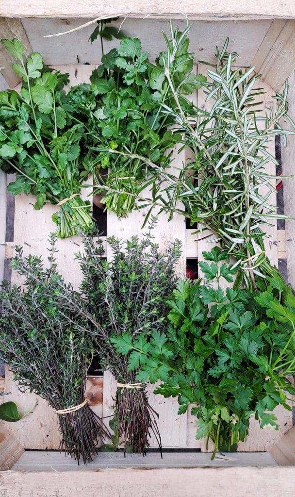 Herbes aromatiques et condimentaires : le calendrier mois par mois Herbes aromatiques et condimentaires : le calendrier mois par mois