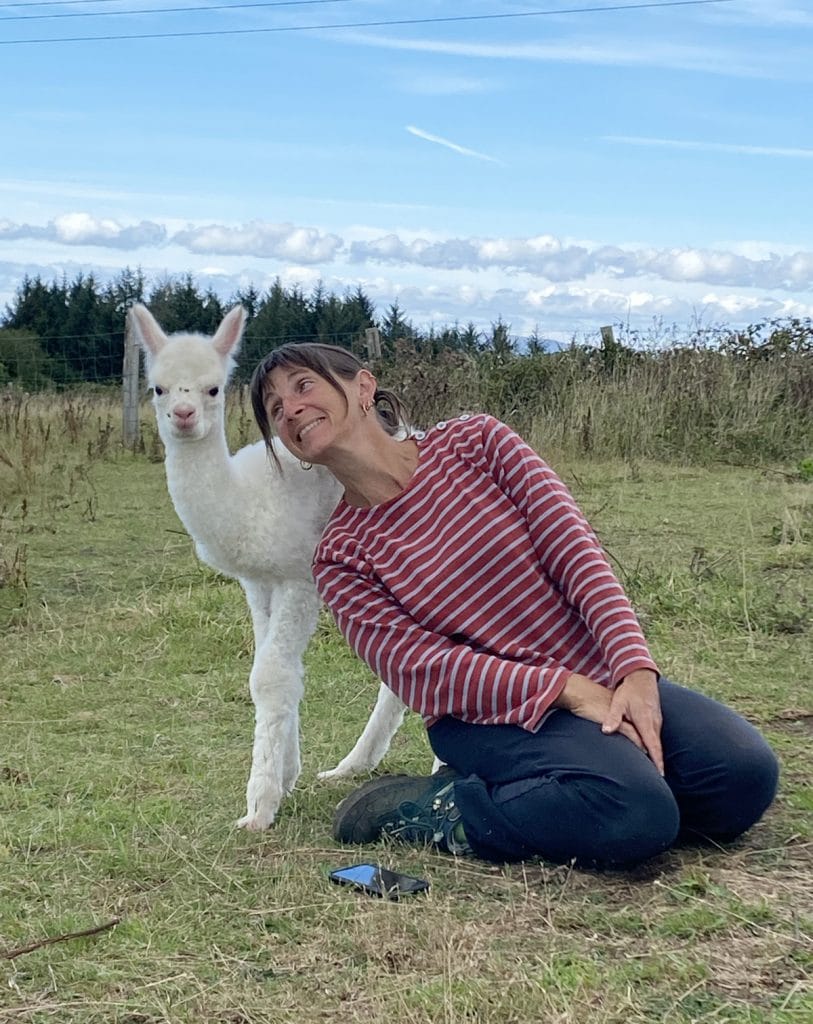 Laine et élevage d'Alpaga, en Bretagne Laine et élevage d'Alpaga, en Bretagne