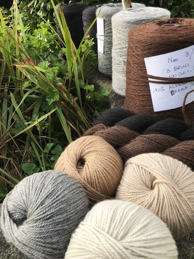 Laine et élevage d'Alpaga, en Bretagne Laine et élevage d'Alpaga, en Bretagne