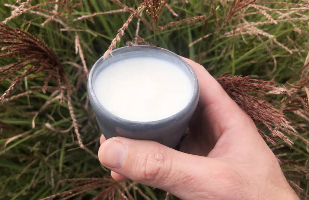 Lait Ribot : Qu'est-ce que c'est ? Comment le consommer ?