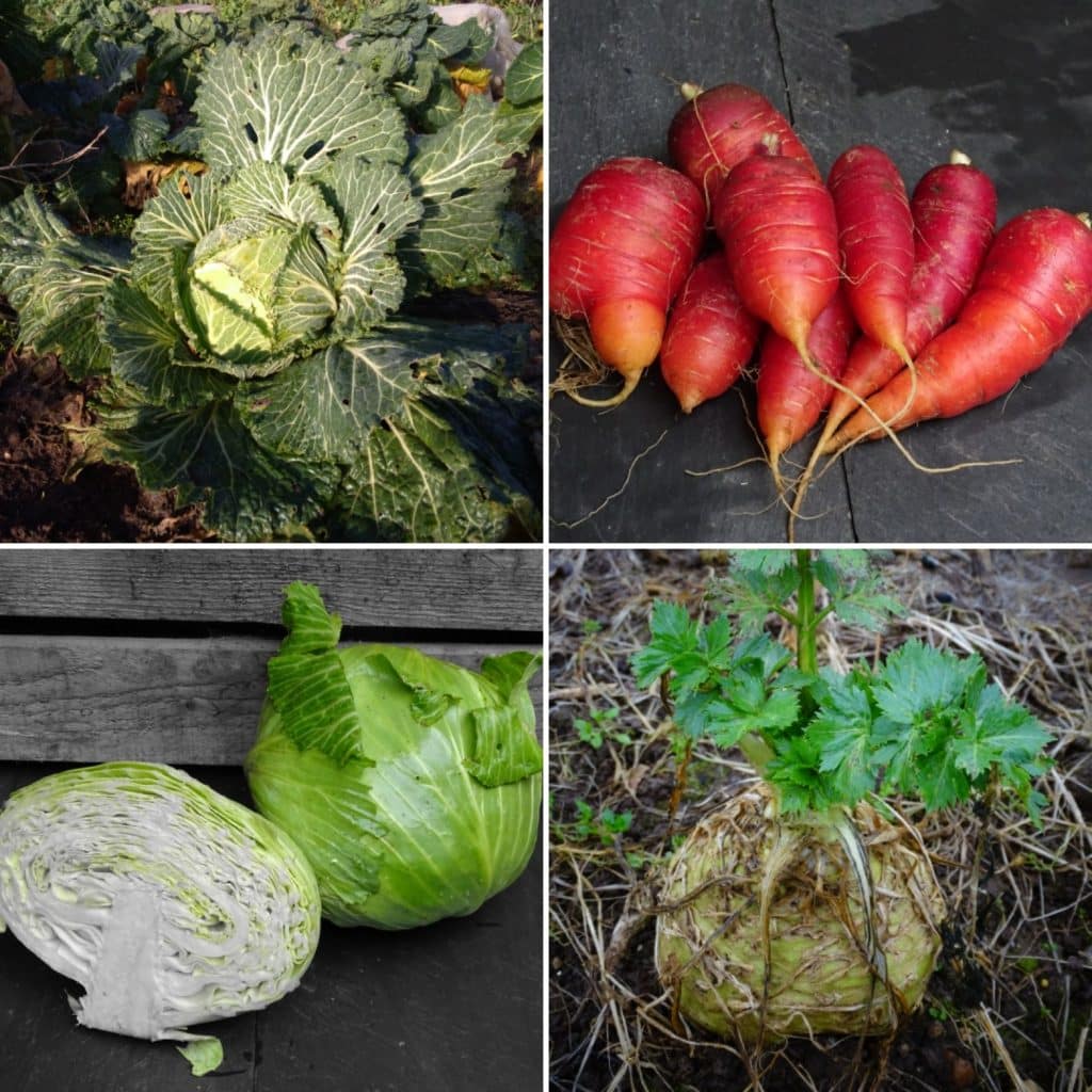 Légumes et fruits de saison - Mars [CALENDRIER + LISTE]