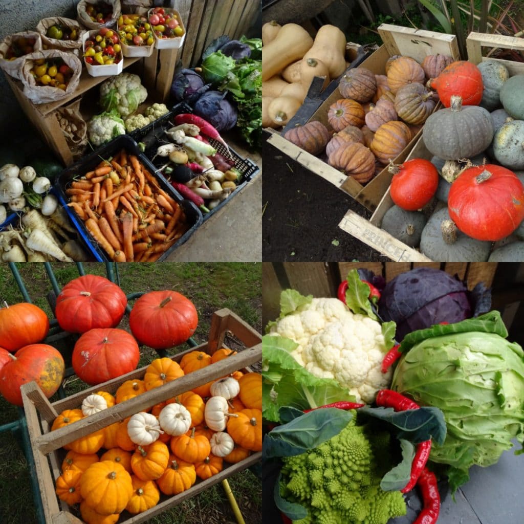 Légumes et fruits de saison - Octobre [CALENDRIER + LISTE]