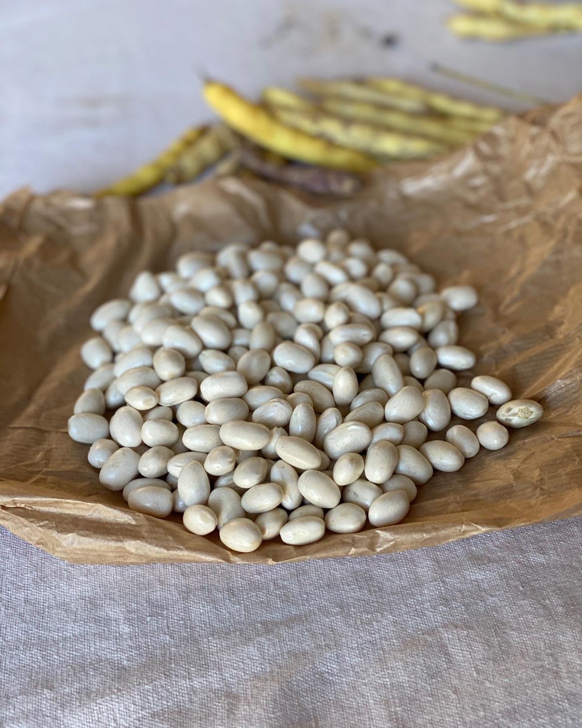 Les Fermiers du Net : Magasin de producteurs à Gouesnou Les Fermiers du Net : Magasin de producteurs à Gouesnou