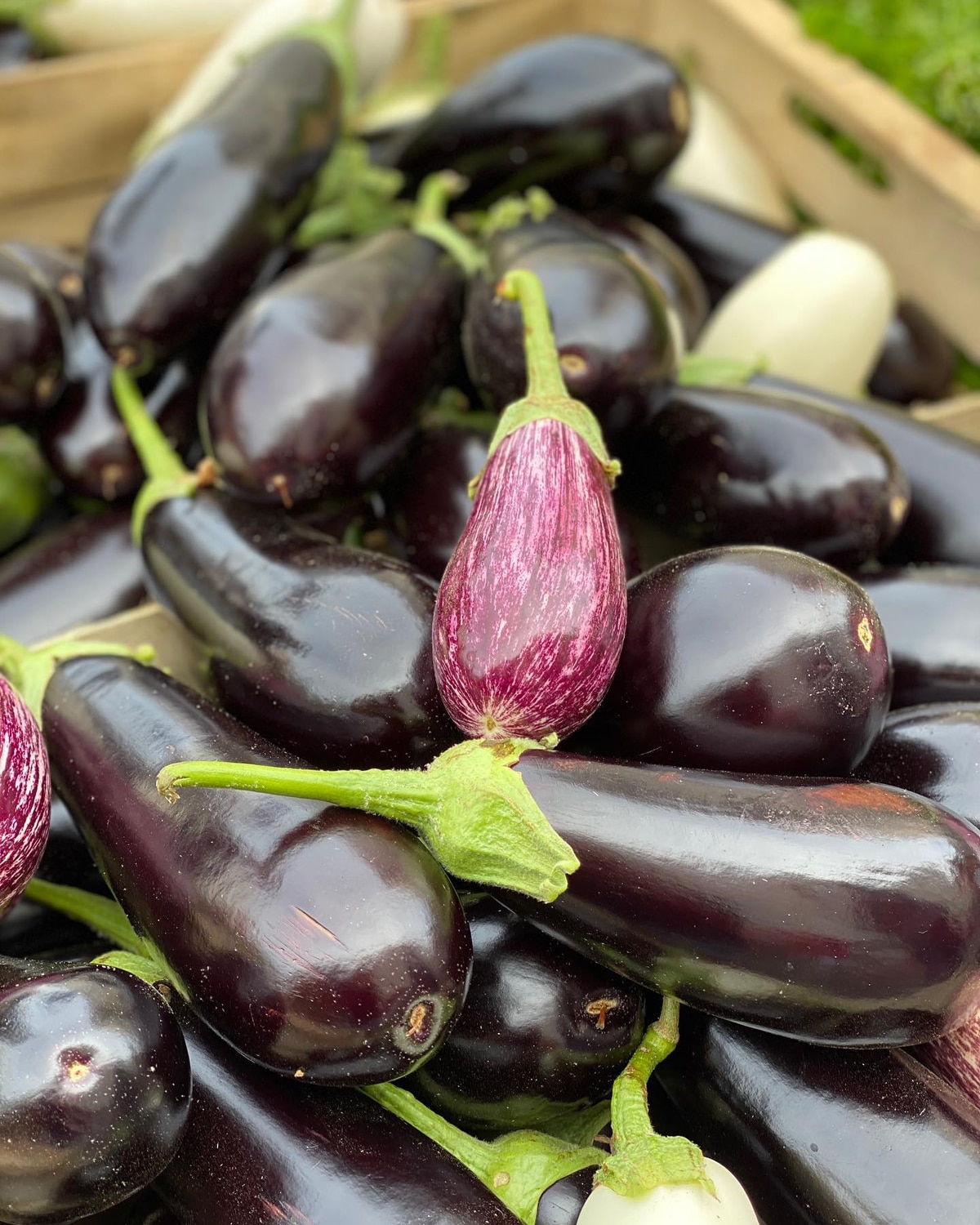 Les Fermiers du Net : Magasin de producteurs à Gouesnou Les Fermiers du Net : Magasin de producteurs à Gouesnou