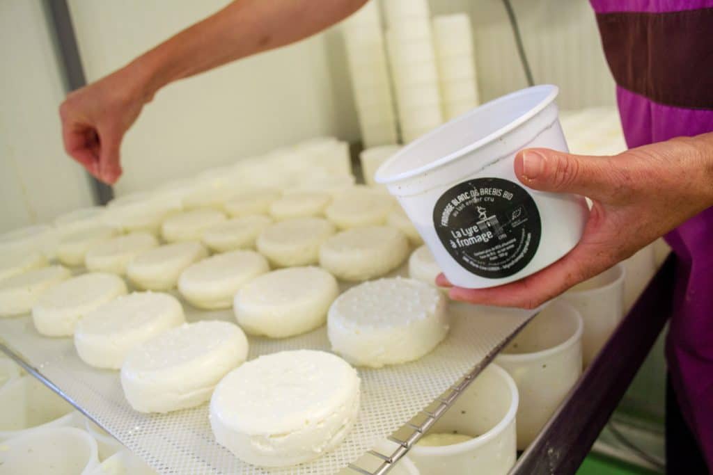 La Lyre à fromage : Fromages de lait de brebis, cru, bio et local La Lyre à fromage : Fromages de lait de brebis, cru, bio et local