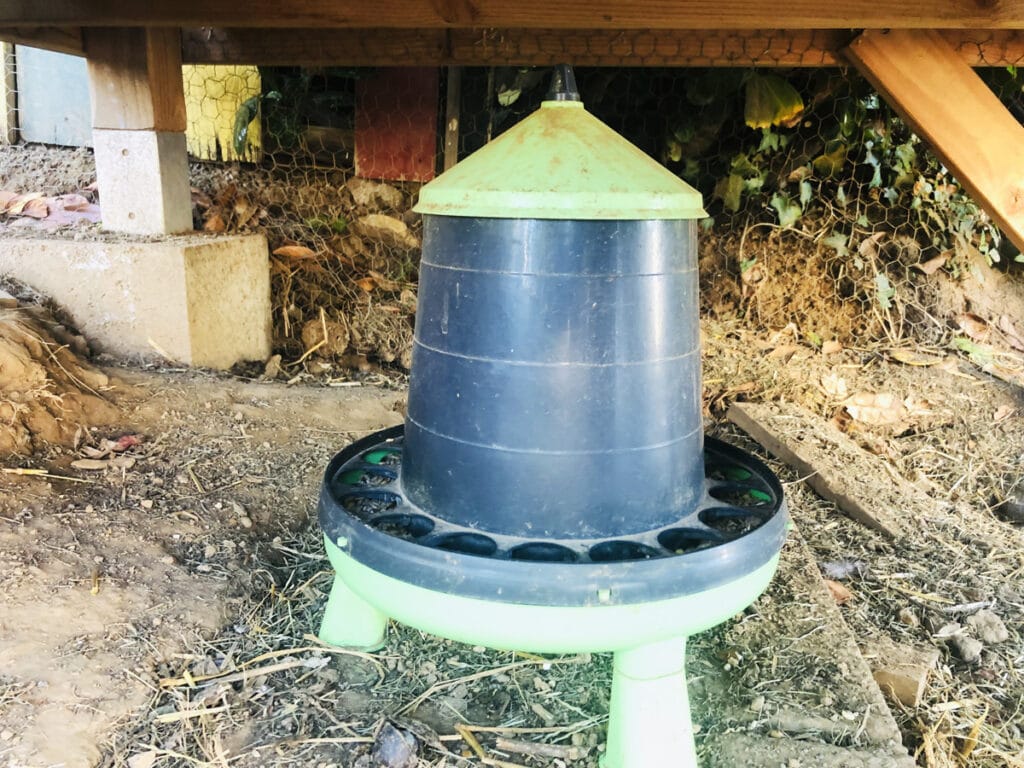 Construire un poulailler : les 5 choses à savoir !