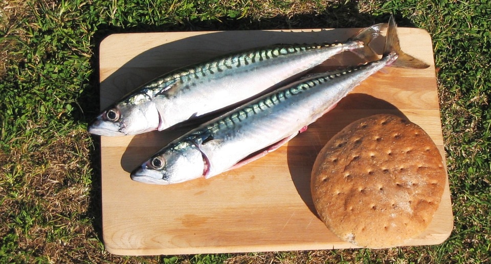 Bouillon d’os, poisson, abats : quels aliments bretons riches en collagène ? Bouillon d’os, poisson, abats : quels aliments bretons riches en collagène ?