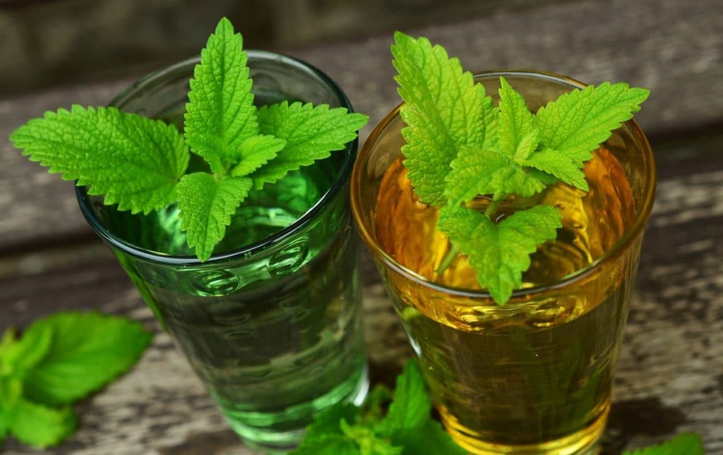 Top 10 des infusions et tisanes 100 % bretonnes