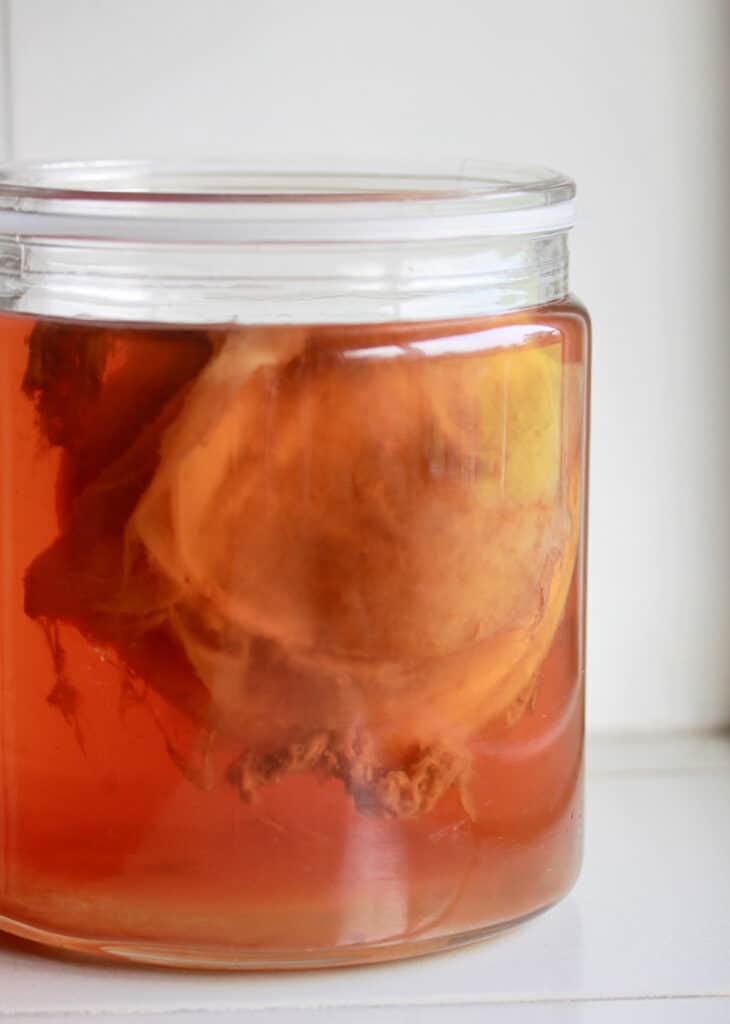 Le Kombucha : origines, bienfaits, comment en faire ? Le guide complet ! Le Kombucha : origines, bienfaits, comment en faire ? Le guide complet !