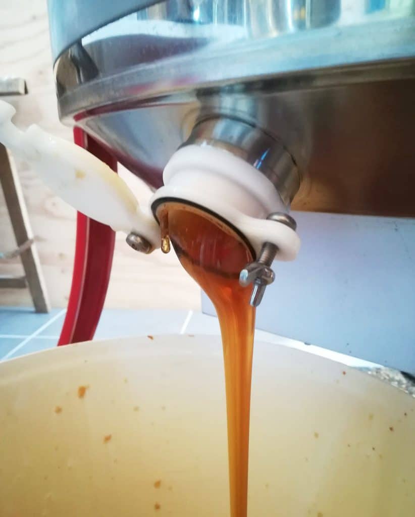 Le miel de sarrasin : précieux et délicieux Le miel de sarrasin : précieux et délicieux