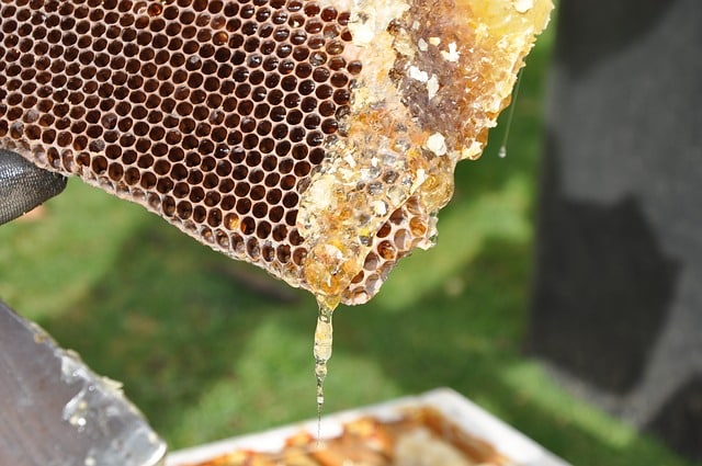 Provenance du miel : Comment bien choisir son miel ? Provenance du miel : Comment bien choisir son miel ?