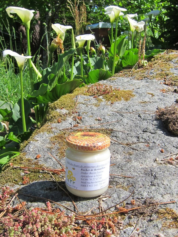 Miel de printemps : bienfaits, goût, récolte... on te dit tout !