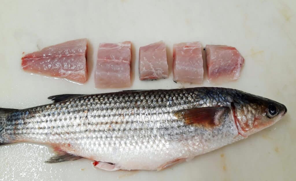 Mulet Noir : Quelle saison ? Comment le cuisiner ? Quel goût ?