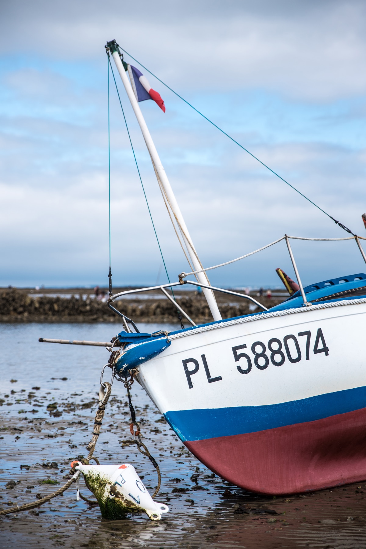 Muscadet : Un vin breton qui se réinvente ! Muscadet : Un vin breton qui se réinvente !