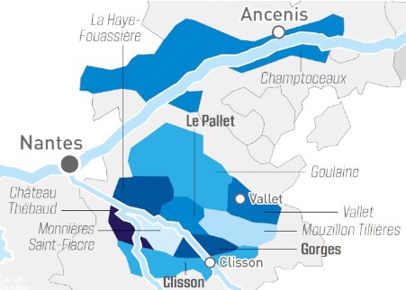 Muscadet : Un vin breton qui se réinvente ! Muscadet : Un vin breton qui se réinvente !