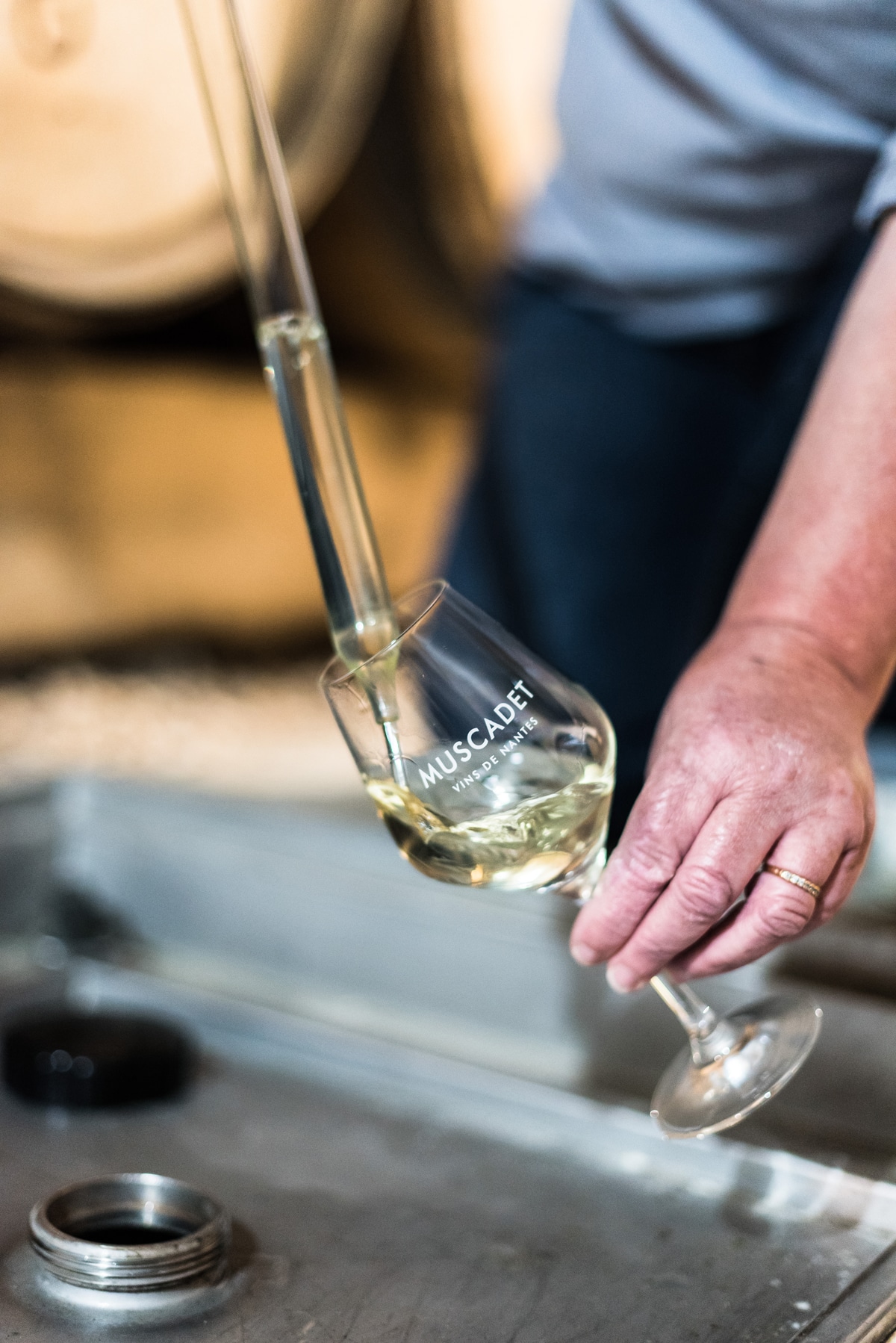 Muscadet : Un vin breton qui se réinvente ! Muscadet : Un vin breton qui se réinvente !