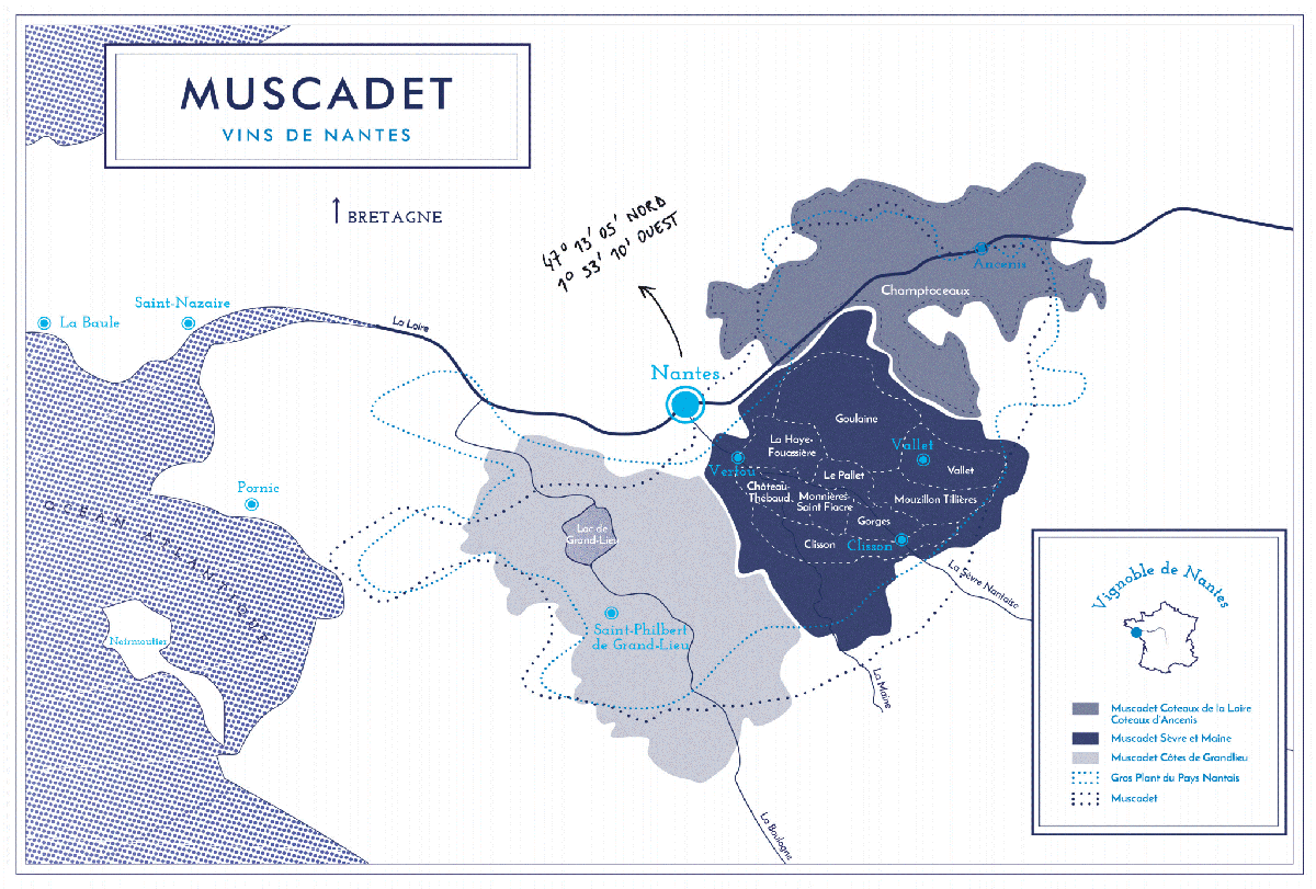 Muscadet : Un vin breton qui se réinvente ! Muscadet : Un vin breton qui se réinvente !