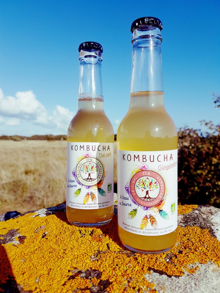 Le Kombucha : origines, bienfaits, comment en faire ? Le guide complet ! Le Kombucha : origines, bienfaits, comment en faire ? Le guide complet !
