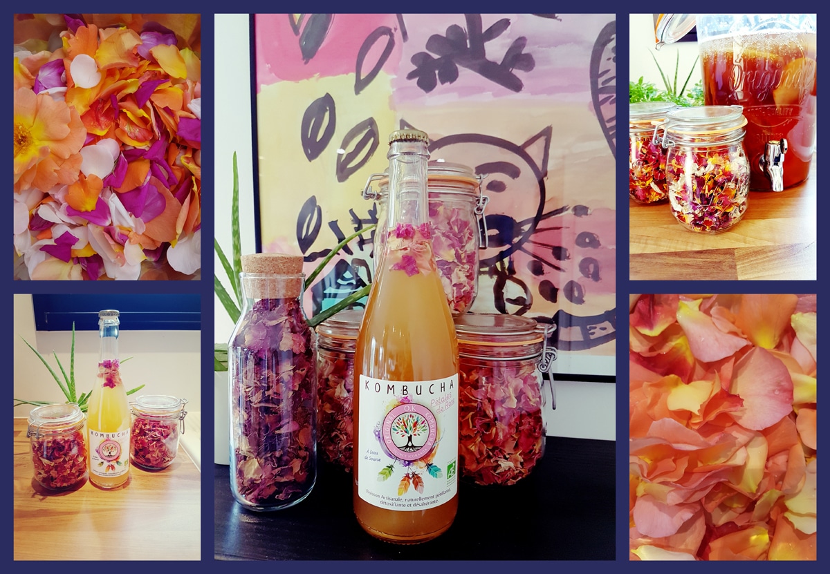 Du Kombucha breton, à l'eau des Monts d'Arrée !