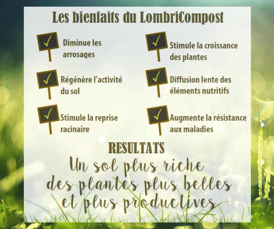 Organic Worms : Un élevage de vers de terre 100% Breton Organic Worms : Un élevage de vers de terre 100% Breton
