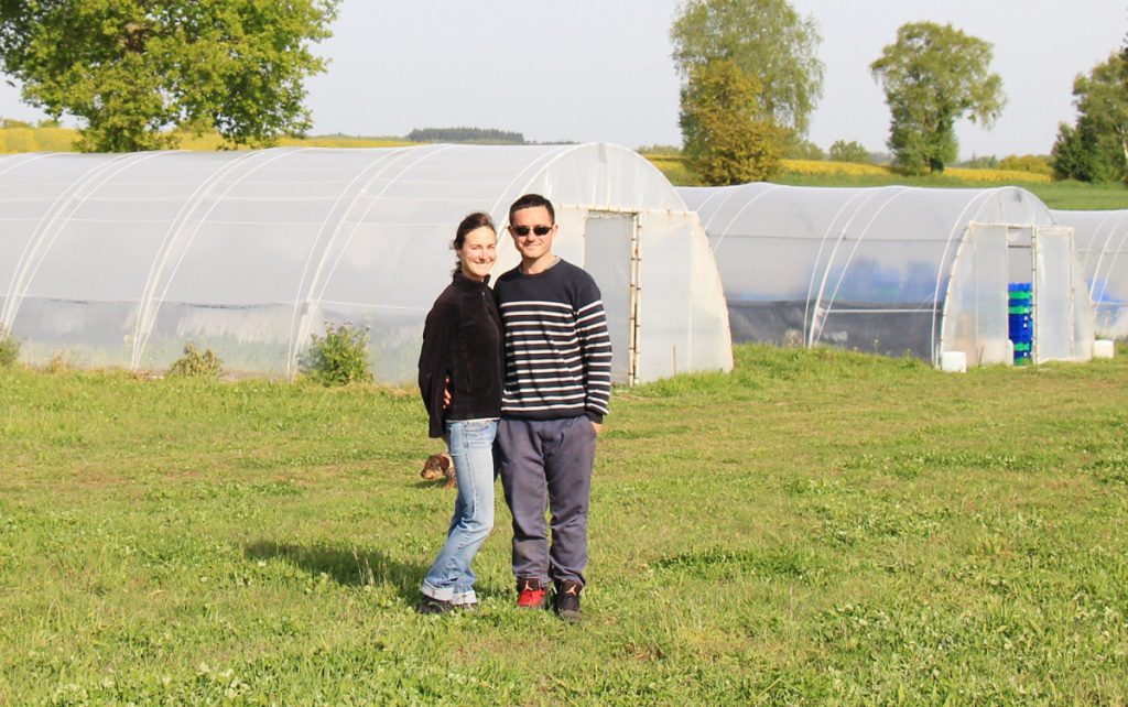 Organic Worms : Un élevage de vers de terre 100% Breton Organic Worms : Un élevage de vers de terre 100% Breton