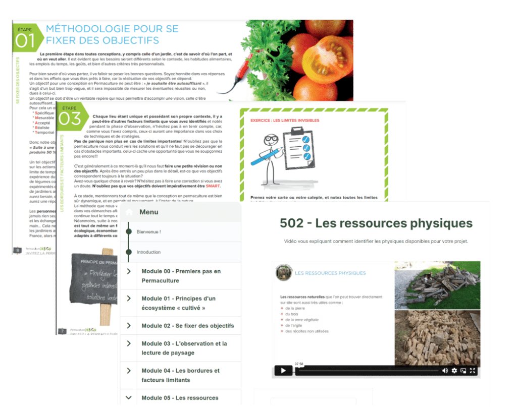 Formation Permaculture en ligne : j'ai testé et voici mon avis