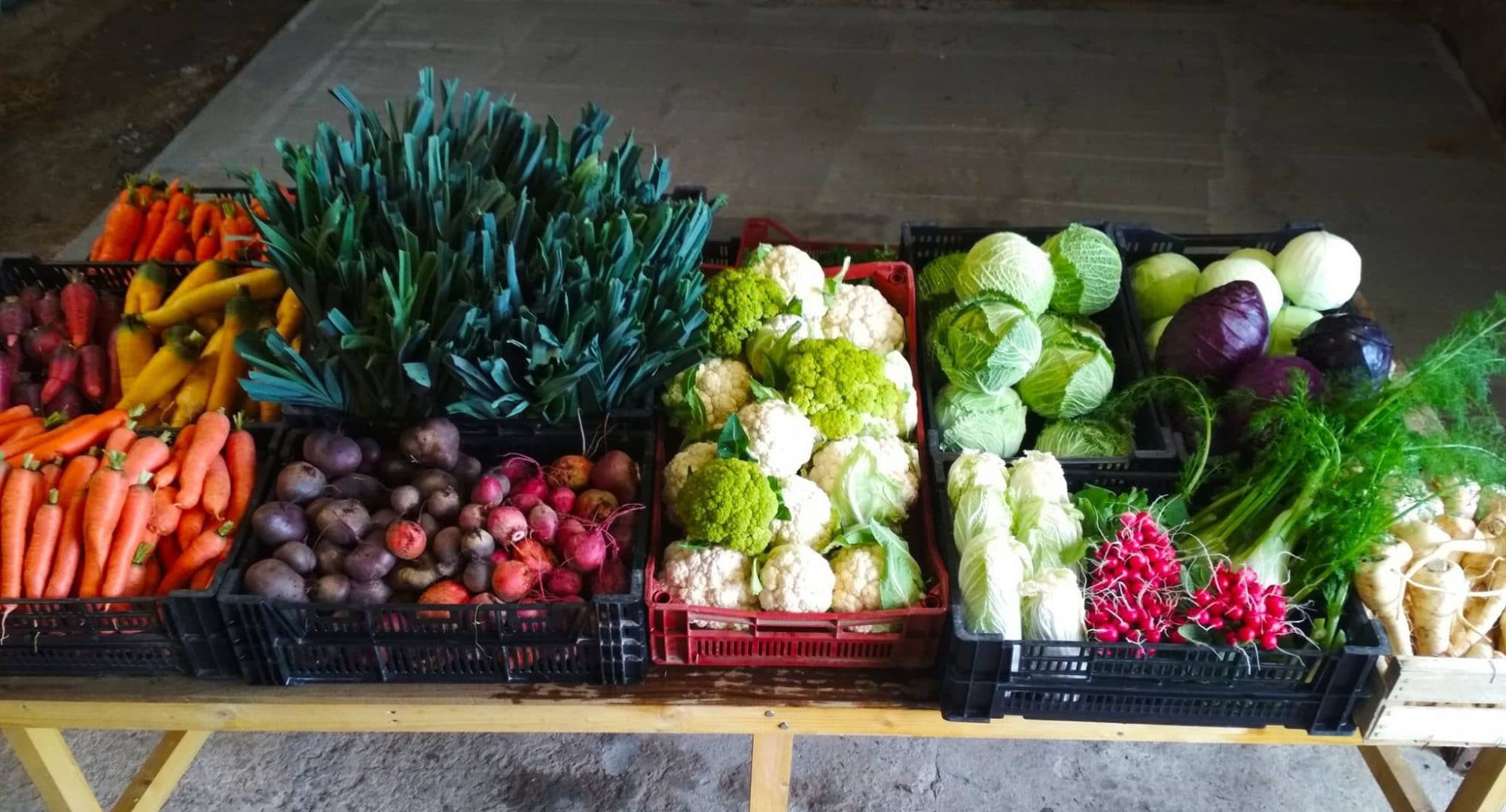 Paniers de légumes en direct du producteur : local et de saison