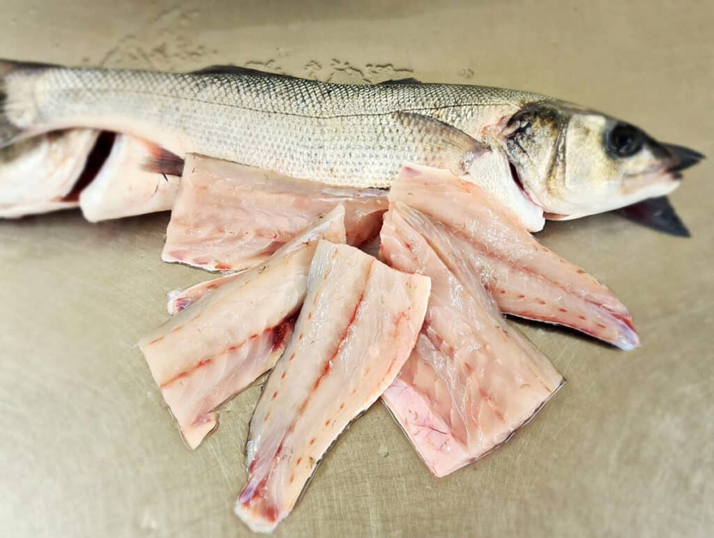 Quand pêcher et manger du bar ? Quelle est la bonne saison ?