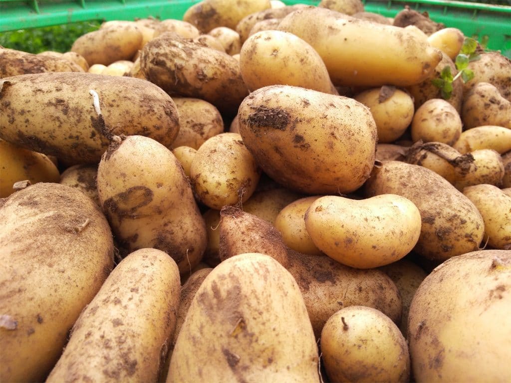 Légumes et fruits de saison - Mai [CALENDRIER + LISTE]