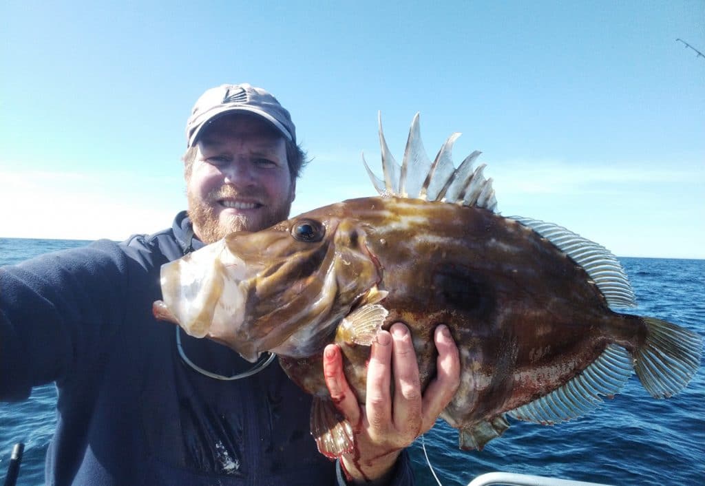 Le poisson Saint-Pierre : Comment le cuisiner ? À quelle saison ?