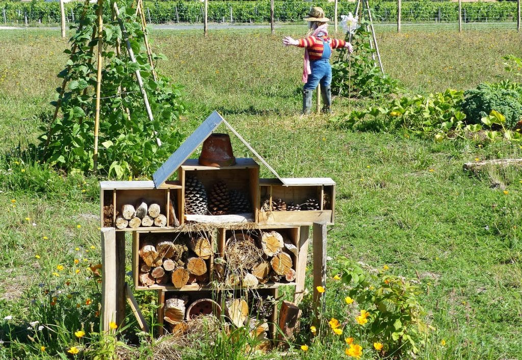 La permaculture : qu'est-ce que c'est ? Explications et exemples concrets