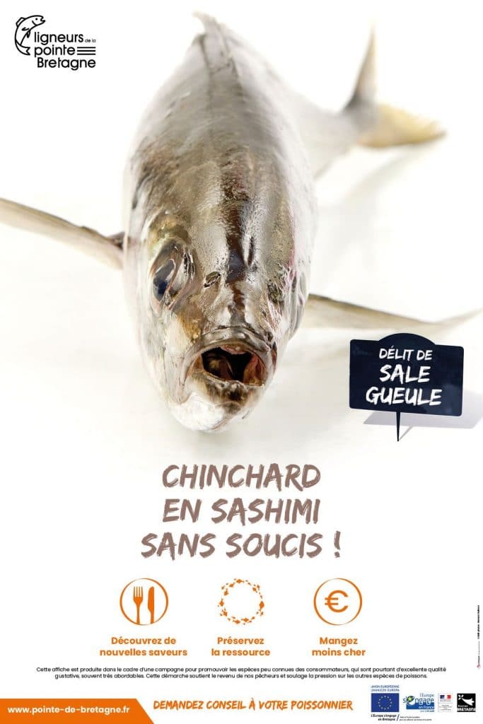 Quels sont les poissons, coquillages et crustacés de saison ? [GUIDE]