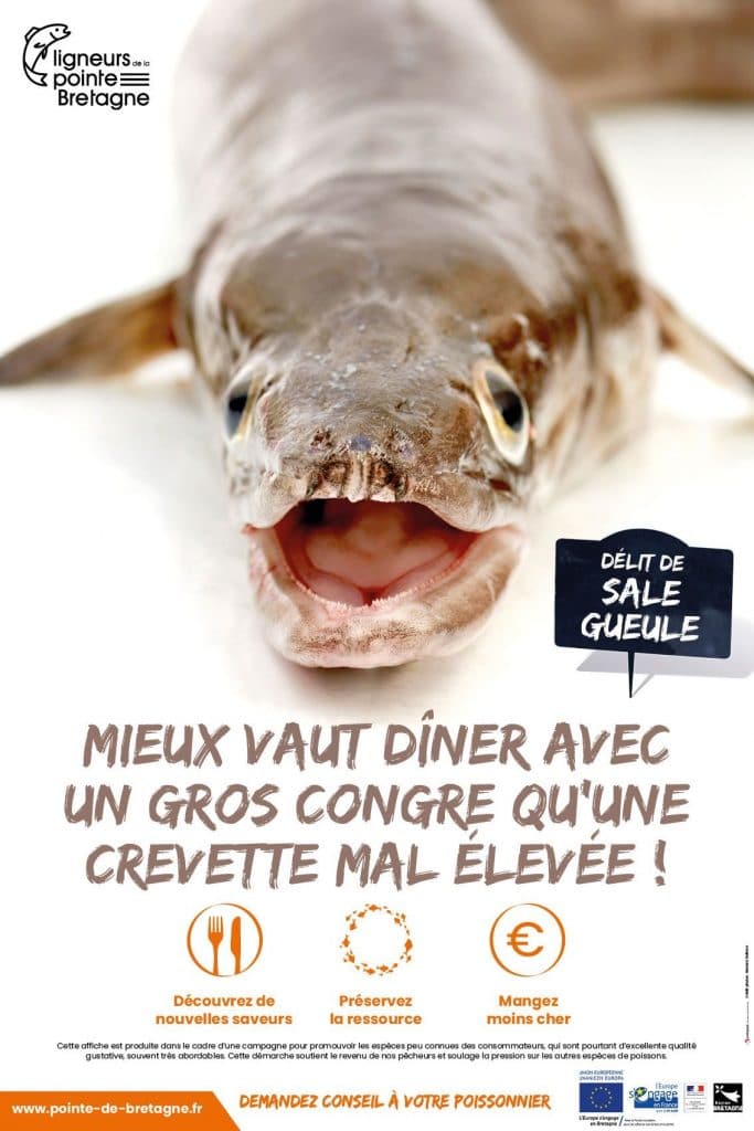 Quels sont les poissons, coquillages et crustacés de saison ? [GUIDE]