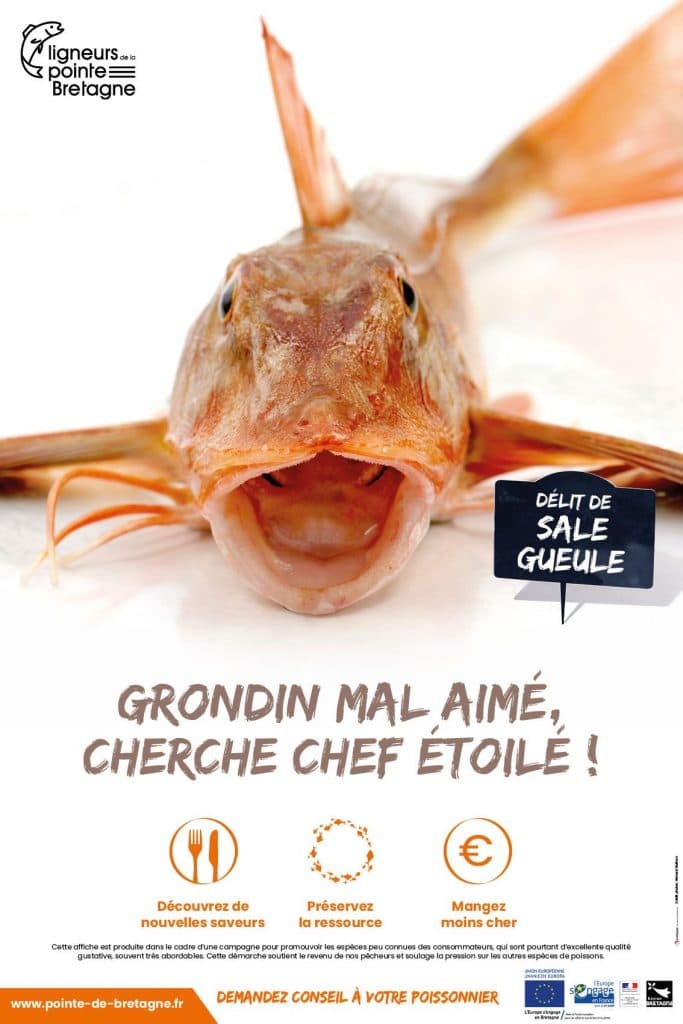 Quels sont les poissons, coquillages et crustacés de saison ? [GUIDE]