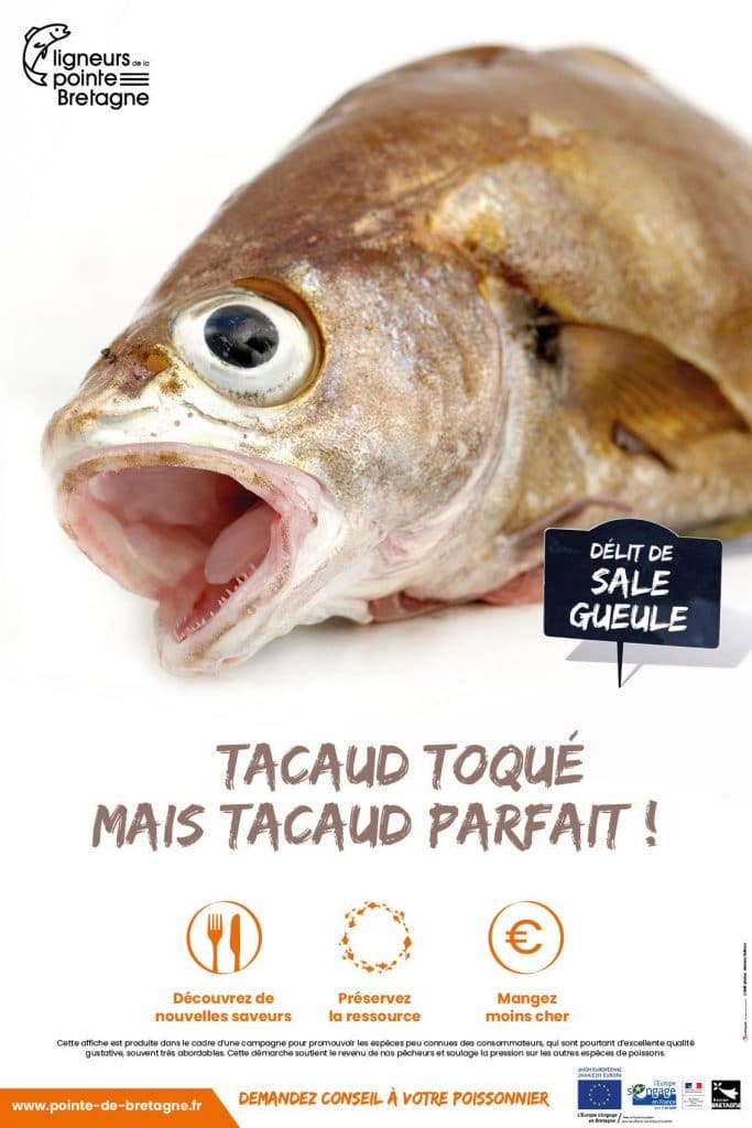 Quels sont les poissons, coquillages et crustacés de saison ? [GUIDE]
