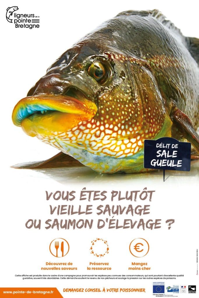 Quels sont les poissons, coquillages et crustacés de saison ? [GUIDE]
