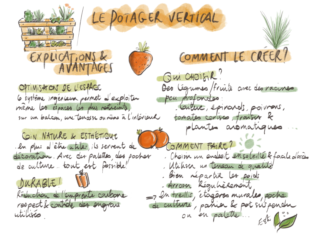 Le potager vertical : la solution pour cultiver des légumes chez soi
