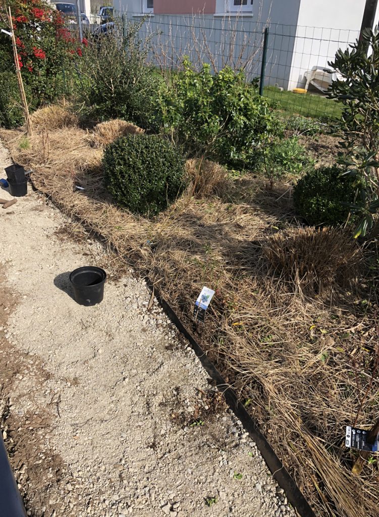 J'ai transformé ma pelouse en potager ! [GUIDE]