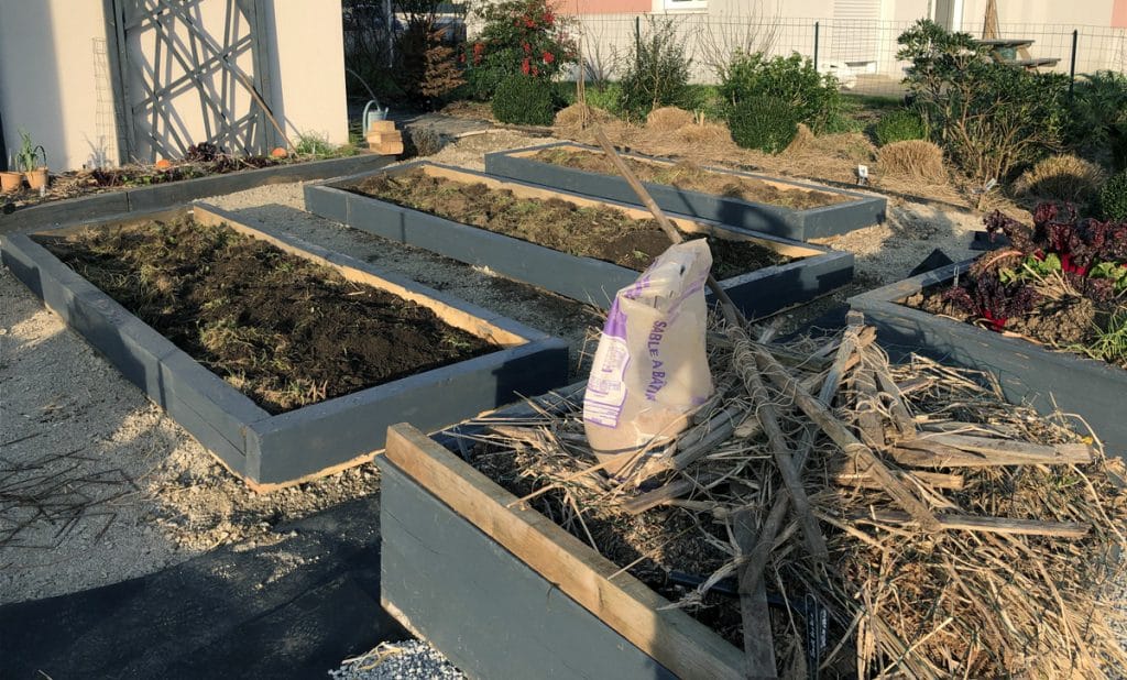 J'ai transformé ma pelouse en potager ! [GUIDE]