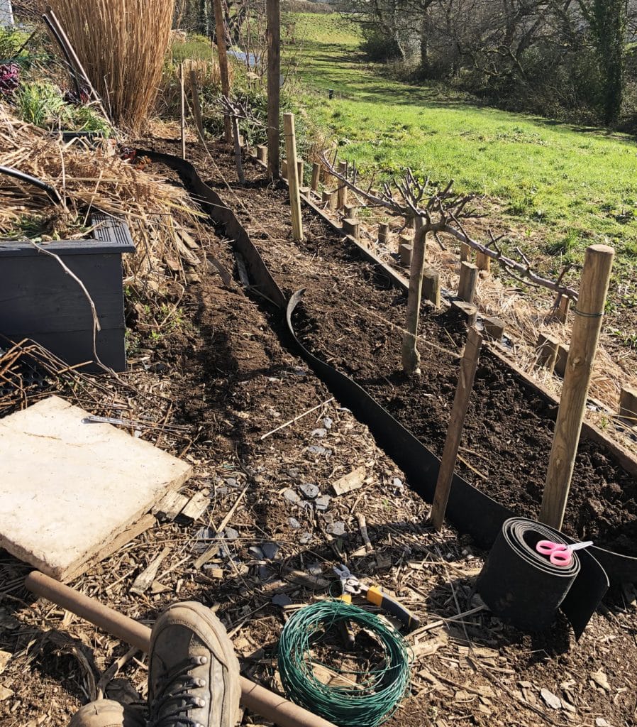 J'ai transformé ma pelouse en potager ! [GUIDE]