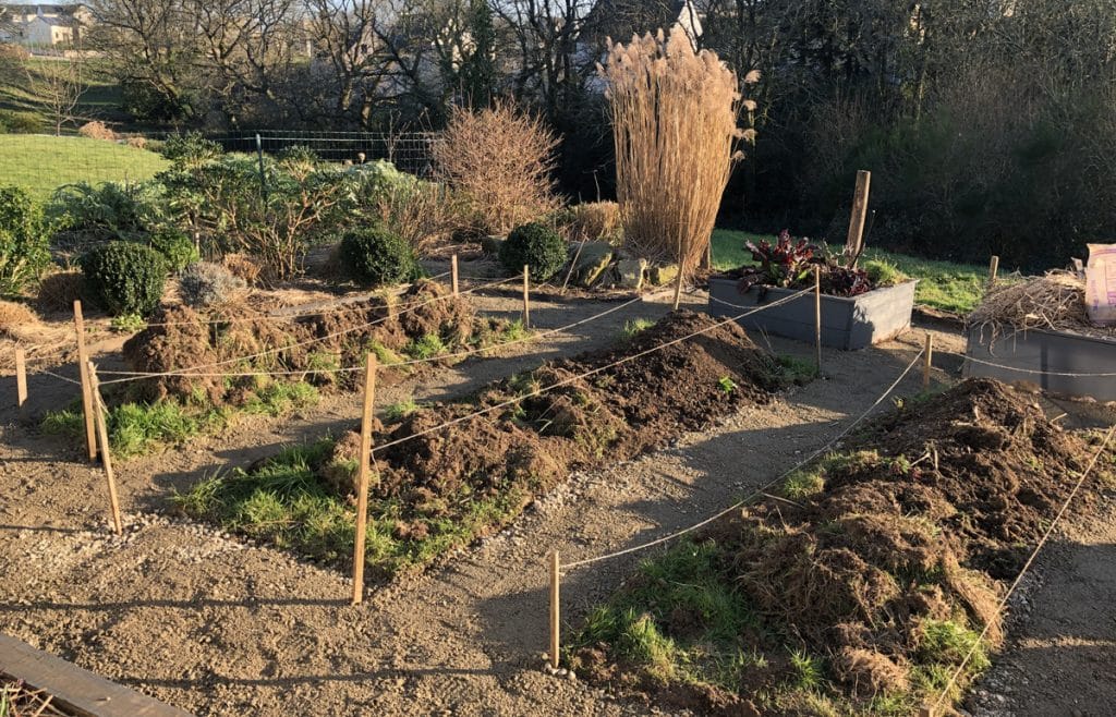 J'ai transformé ma pelouse en potager ! [GUIDE]