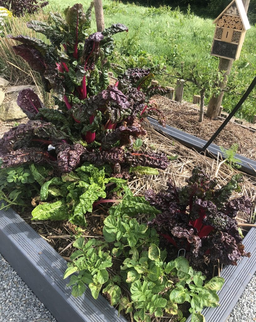 Comment fabriquer un carré potager surélevé ?