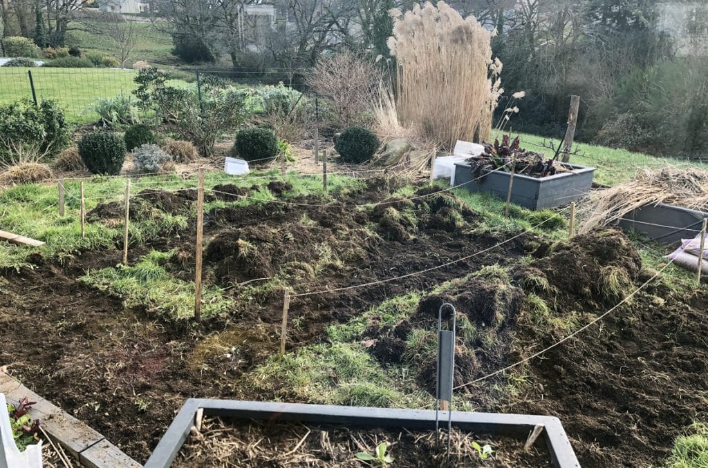 J'ai transformé ma pelouse en potager ! [GUIDE]