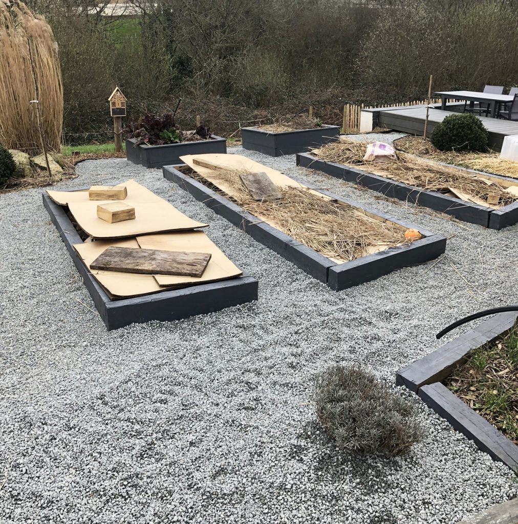 J'ai transformé ma pelouse en potager ! [GUIDE]