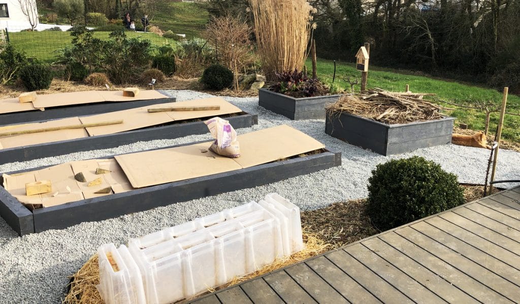 J'ai transformé ma pelouse en potager ! [GUIDE]