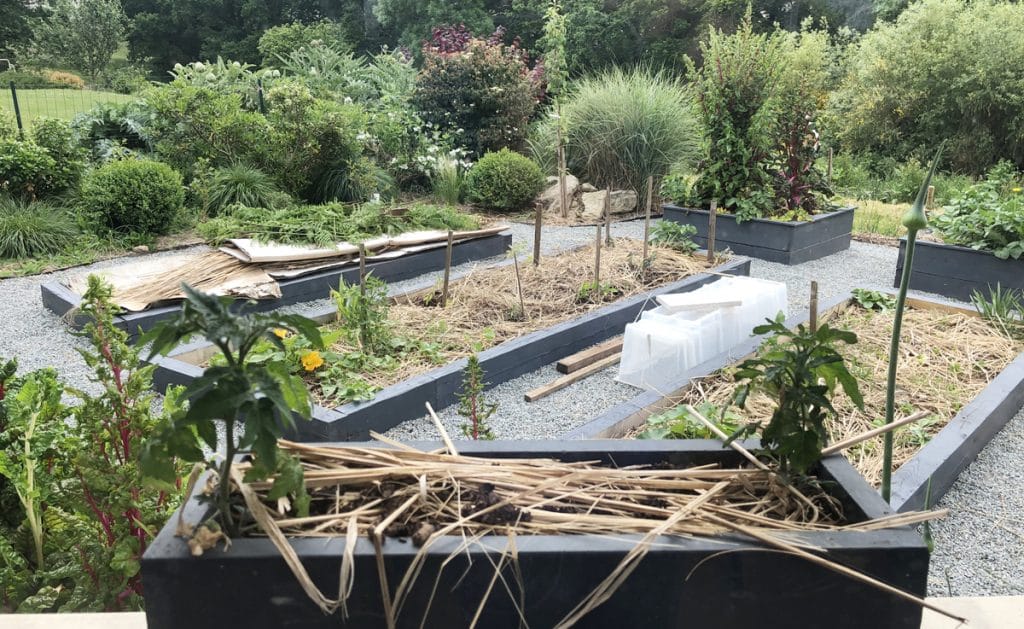J'ai transformé ma pelouse en potager ! [GUIDE]